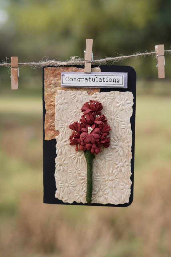 A Soft Celebration